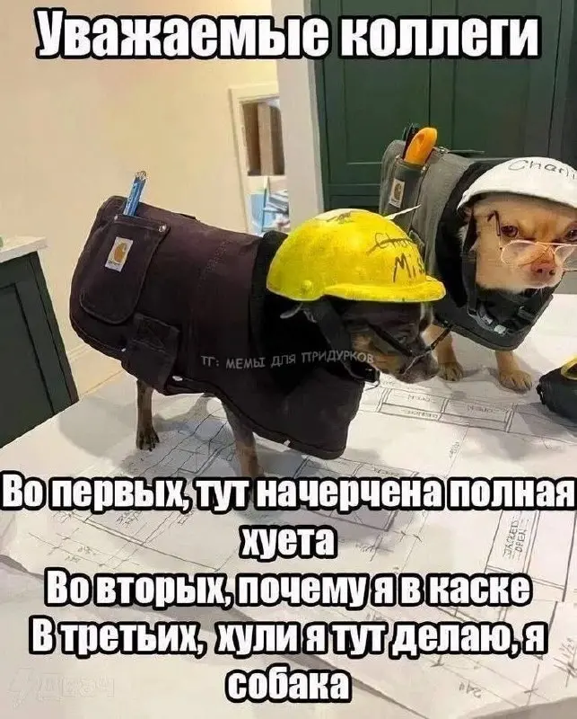 Фриланс инженер тг | Сетка — социальная сеть от hh.ru