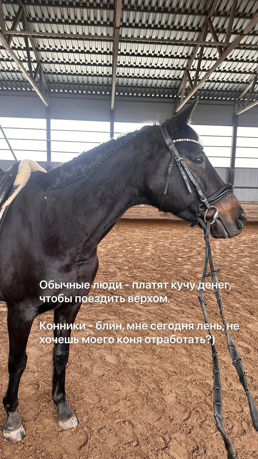 Бег из-за погоды немного забросила( Но вот стараюсь к лошади хотя бы пару раз в неделю выбираться. Благо у нас манеж, и дождь не помеха😇 | Сетка — социальная сеть от hh.ru
