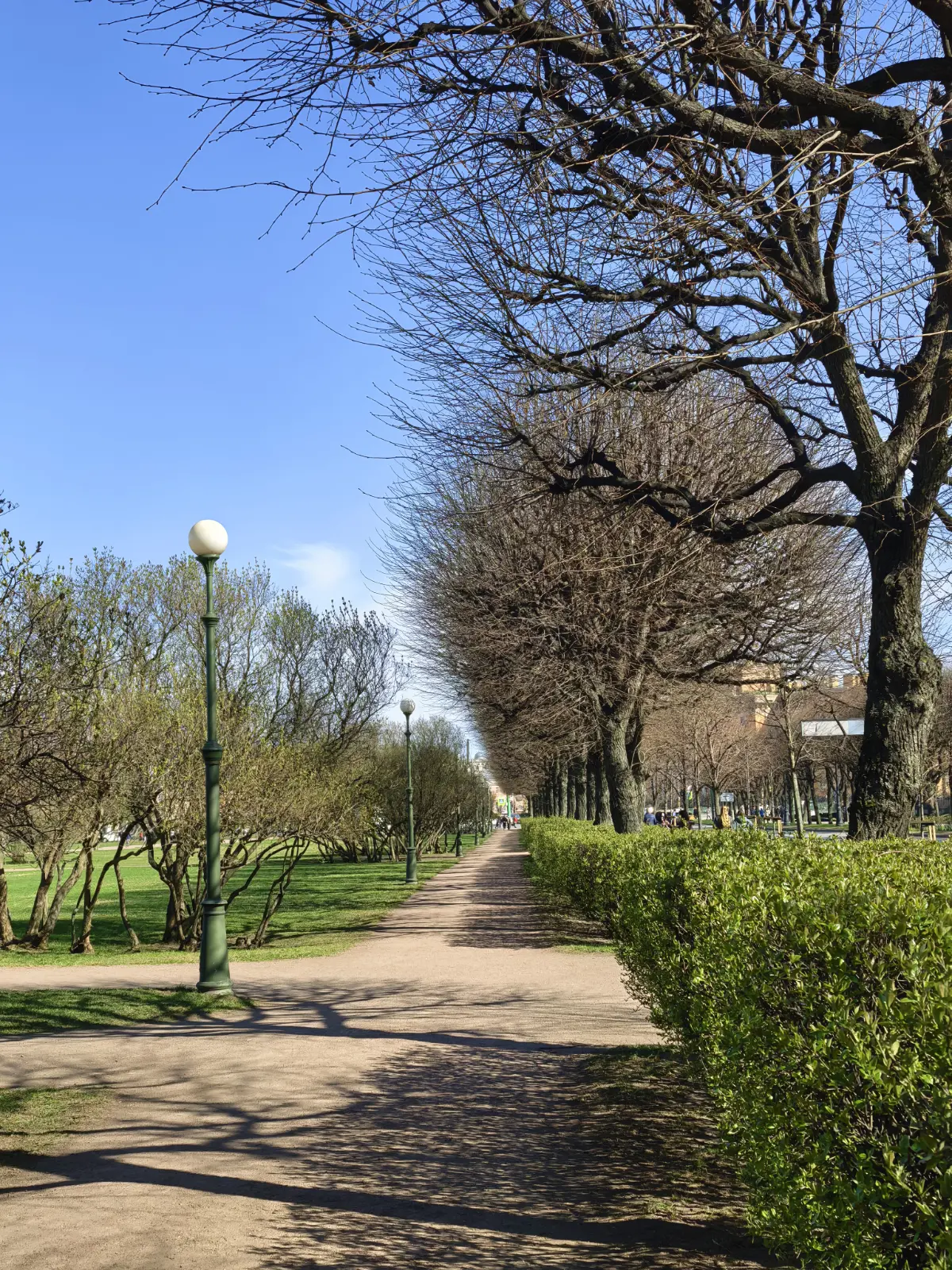 Апрельский Петербург | Сетка — социальная сеть от hh.ru