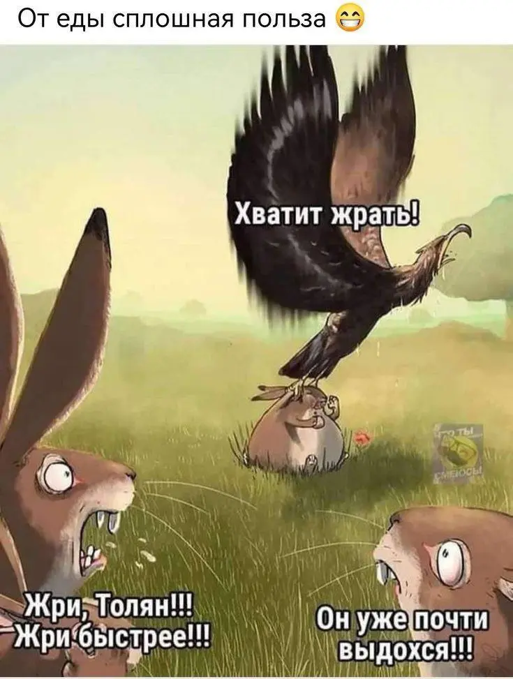 Очередной антистресс-перекус | Сетка — социальная сеть от hh.ru