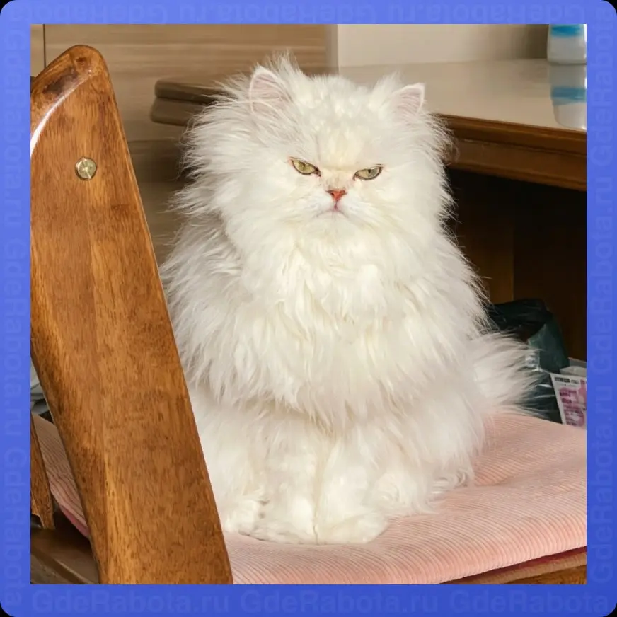 Если вас огорчает понедельник — работайте без выходных 😁
#работа #GdeRabota #вакансии | Сетка — социальная сеть от hh.ru