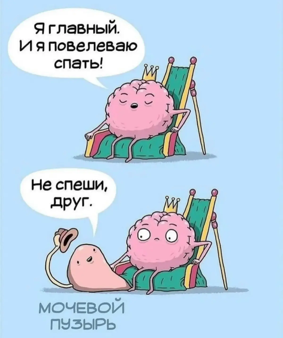 🤷🏽‍♂️🤷🏽‍♂️ | Сетка — социальная сеть от hh.ru