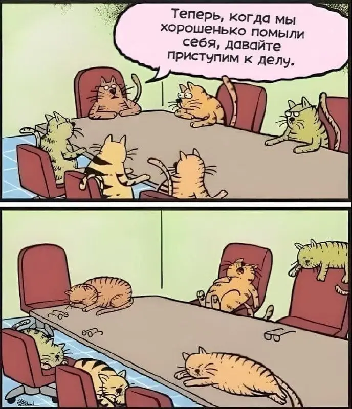 П - планирование 😂
#Юмор@poldner | Сетка — социальная сеть от hh.ru
