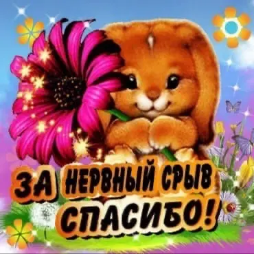 На случай важных переговоров | Сетка — социальная сеть от hh.ru