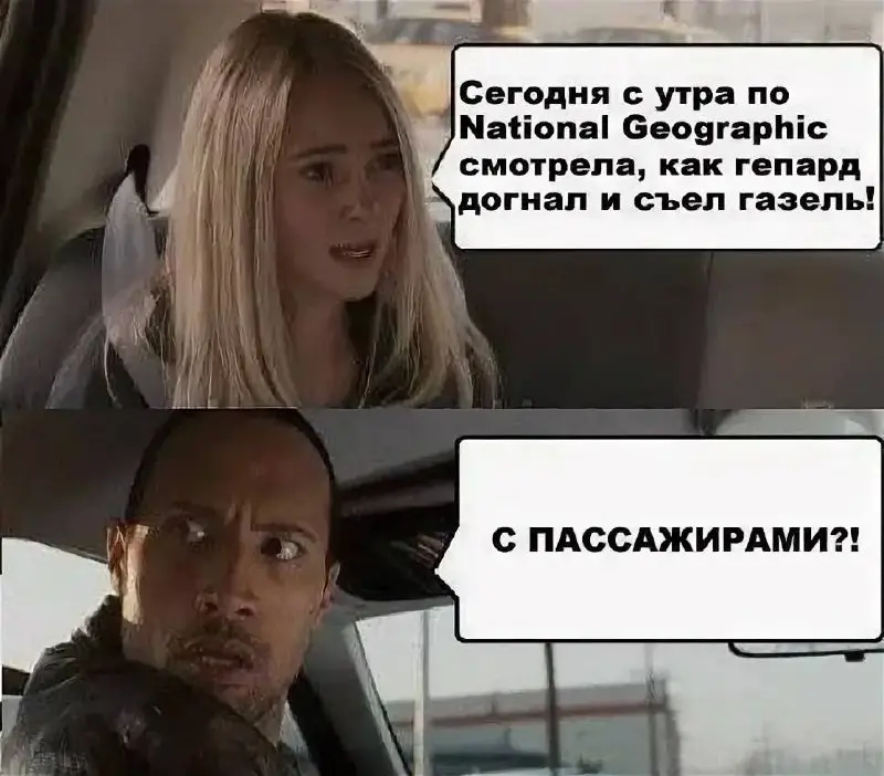 Стартапы-газели: кто они такие и откуда берутся?
В экосистеме бизнеса принято говорить о «единорогах» (компаниях с оценкой от $1 млрд), неповоротливых корпорациях-«слонах» и малом бизнесе, который час... | Сетка — социальная сеть от hh.ru