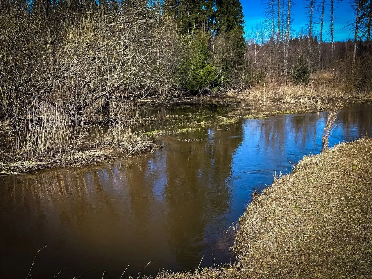 Весна — отличная пора для отдыха на природе и рыбалки.
Однако именно в это время возникают некоторые опасности.
1⃣ Во-первых, весенняя погода очень нестабильна | Сетка — социальная сеть от hh.ru