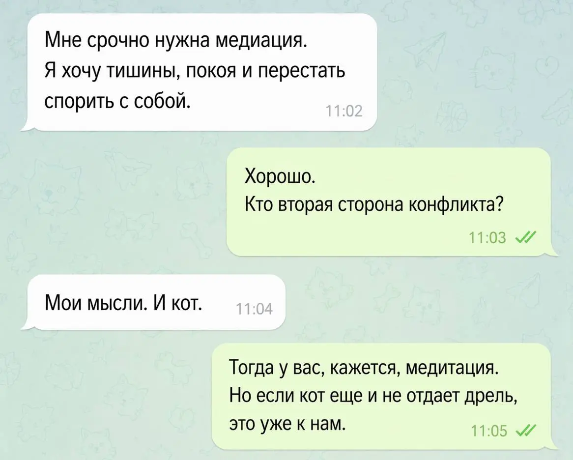 С котами я еще не работал | Сетка — социальная сеть от hh.ru