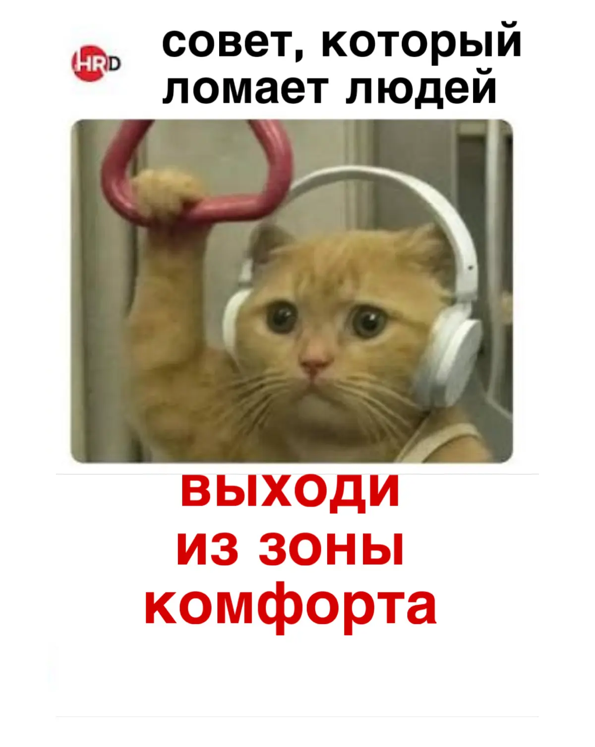 «Выходи из зоны комфорта» - совет, который ломает людей | Сетка — социальная сеть от hh.ru
