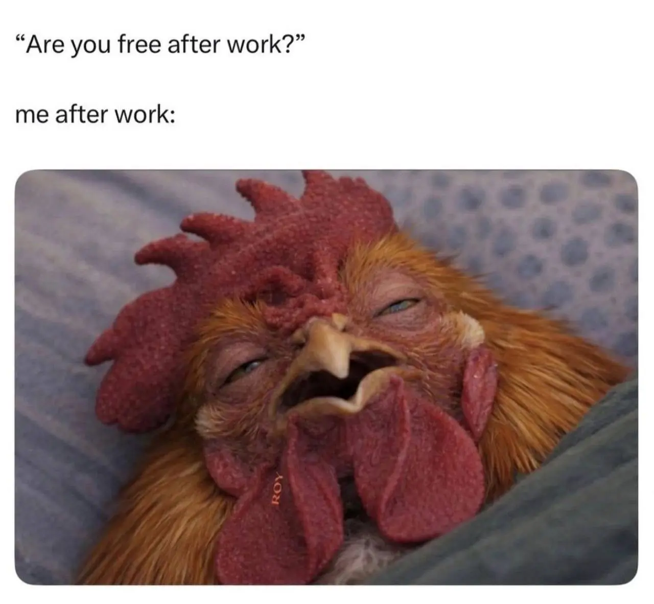 Надеюсь, эта картинка не про вас 😝 но если вдруг про вас, расскажите, что именно вас так выматывает?
Сложные задачи?
Дедлайны, сроки и давление, которые не дают вздохнуть?
Может быть, коллеги?
Или все... | Сетка — социальная сеть от hh.ru