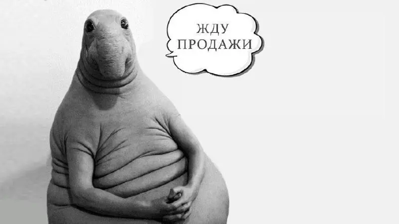 «Мы и так на первом месте». Опасная иллюзия, которая стоит вам миллионов ✅
Вы и конкурент - оба в топе. У него 50 заявок в месяц. У вас - 10. Почему? Он не лучше. Он умнее
Классическая ситуация | Сетка — социальная сеть от hh.ru