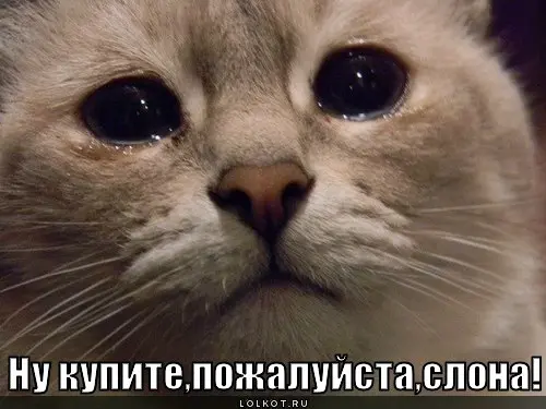 Почему клиент перестает отвечать? | Сетка — социальная сеть от hh.ru