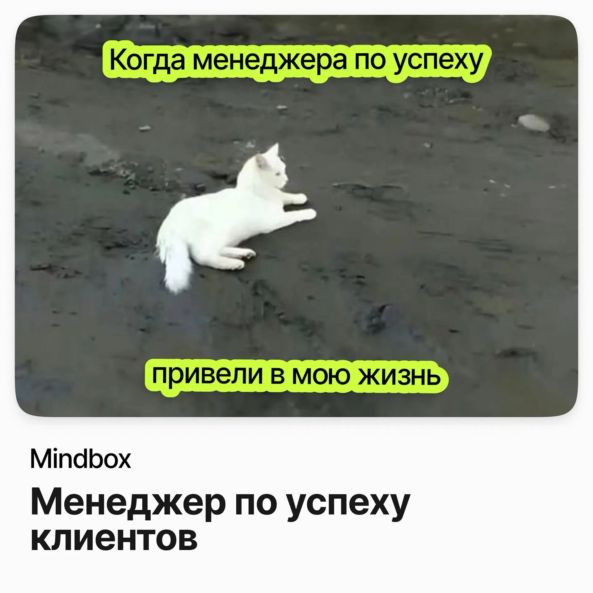 Менеджер по успеху клиентов / Mindbox | Сетка — социальная сеть от hh.ru