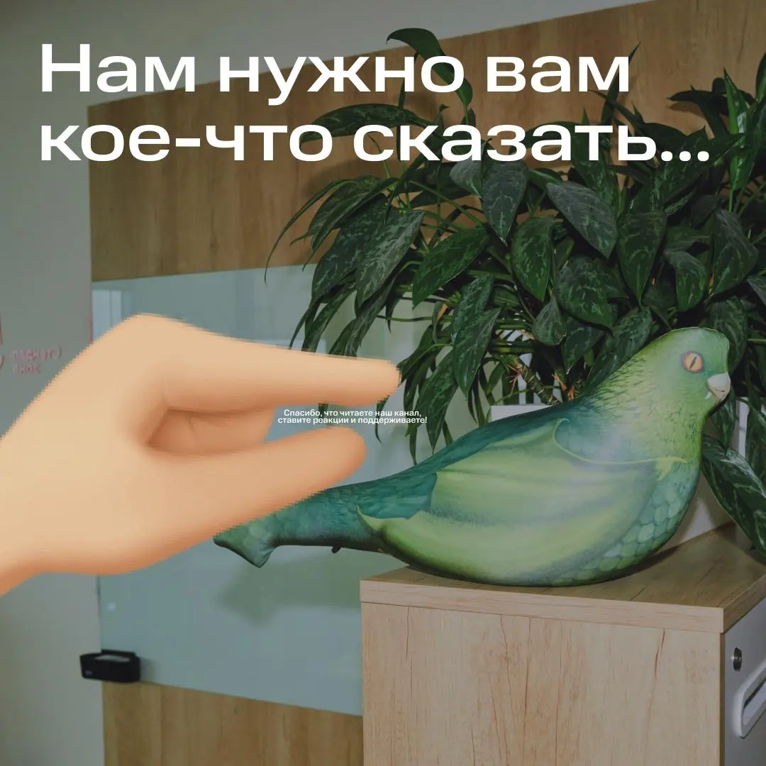 Попробуйте прочитать 🤭 | Сетка — социальная сеть от hh.ru