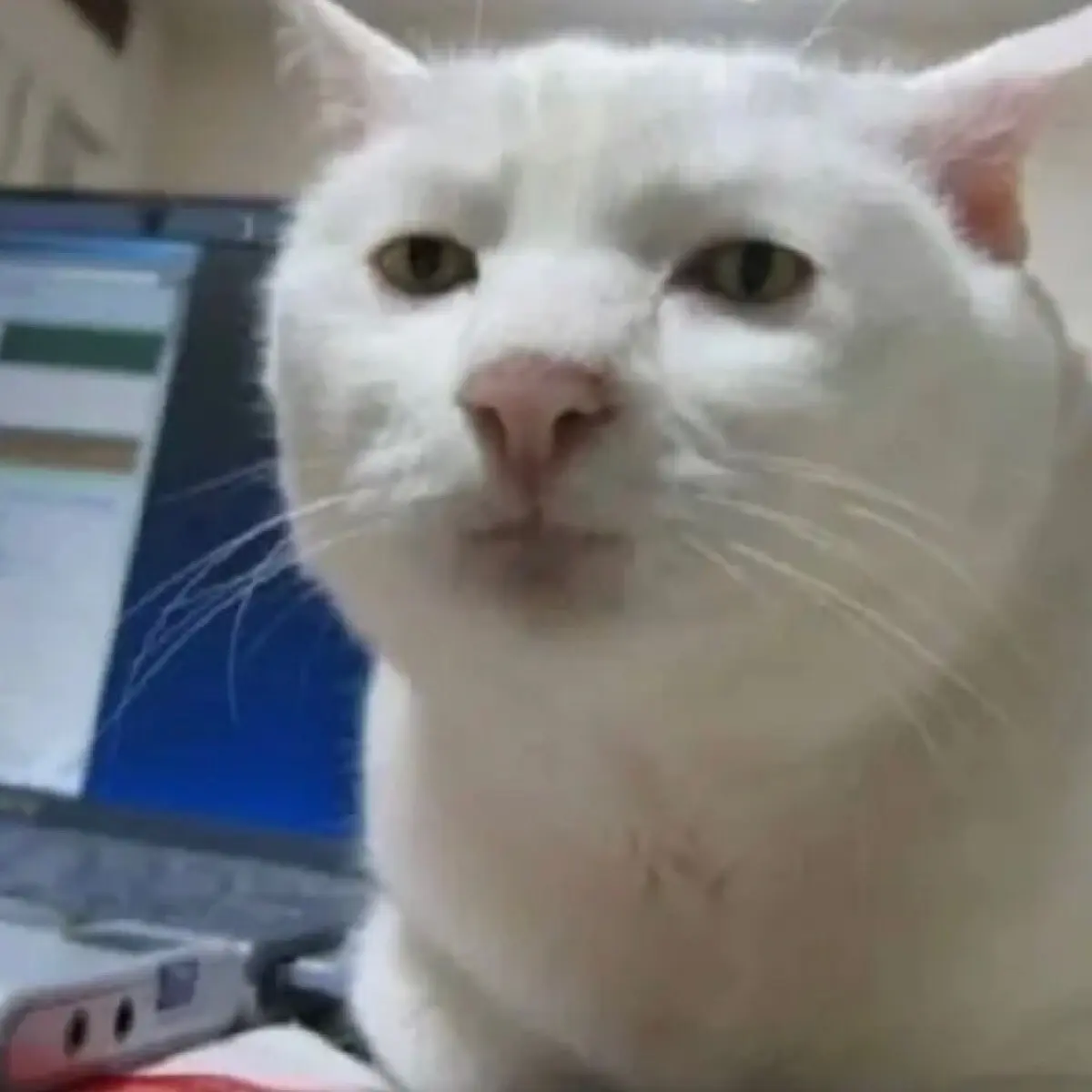 Дмитрий Жестков | Сетка — социальная сеть от hh.ru