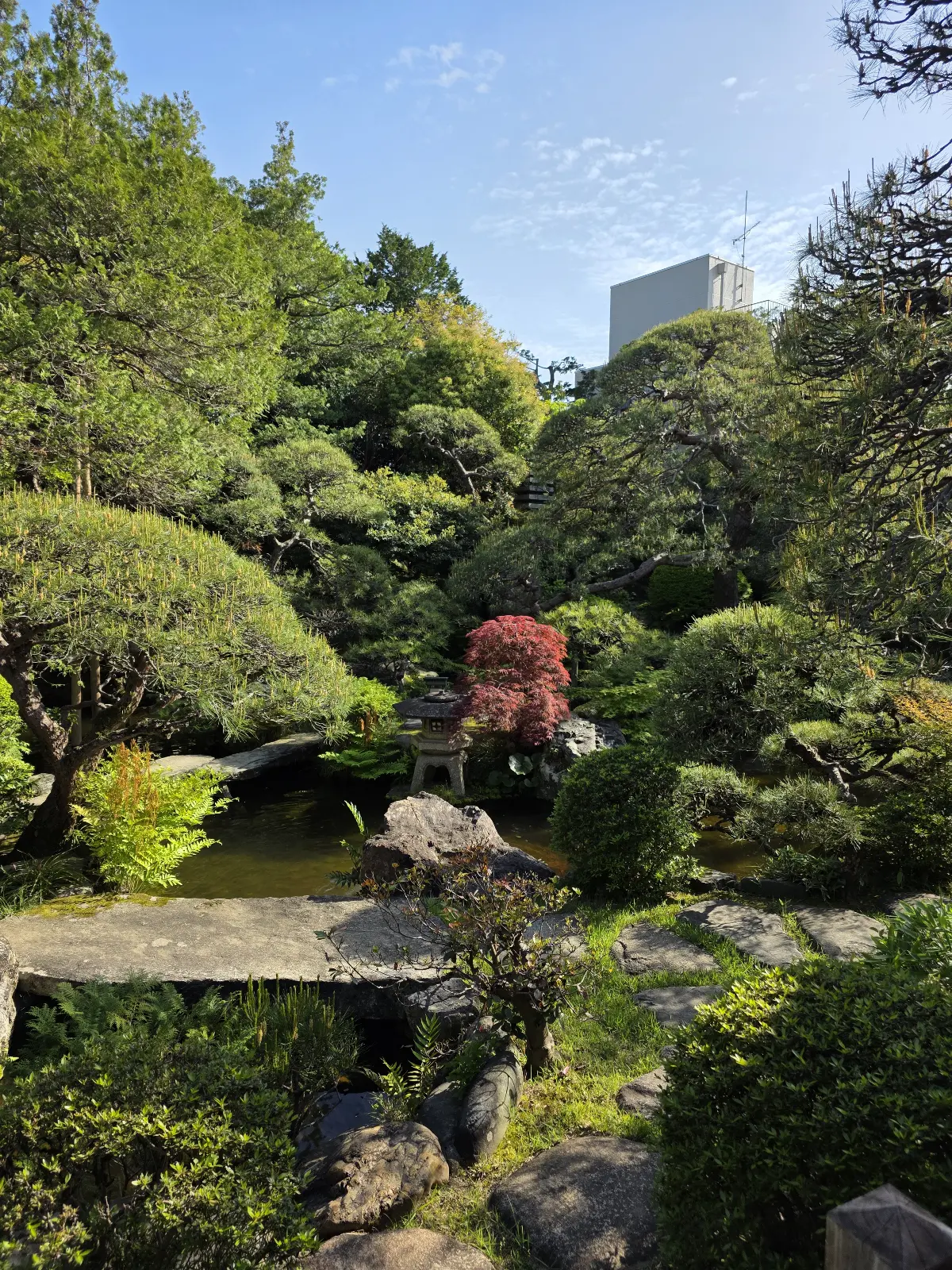 Мысли во время путешествия по Японии | Сетка — социальная сеть от hh.ru