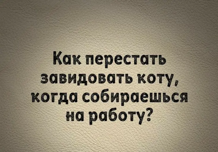 Когда становится тише ?
Вчера я предложила попробовать одно простое действие — не распыляться и побыть в процессе без отвлечений.
И если вы попробовали, возможно, заметили одну вещь | Сетка — социальная сеть от hh.ru