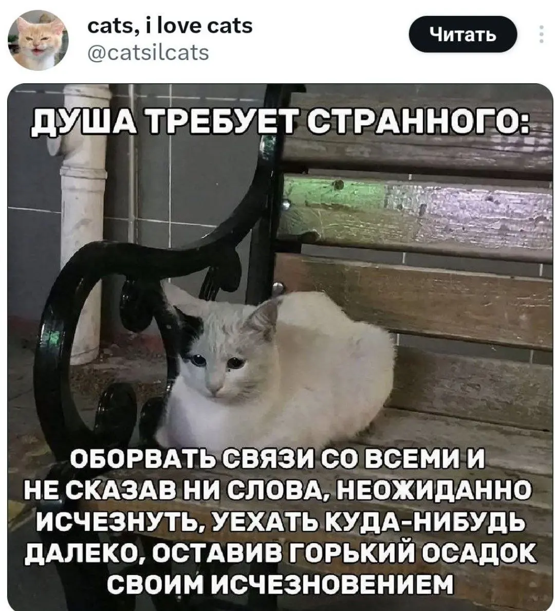 Ну што же, пора возвращаться 🙂 | Сетка — социальная сеть от hh.ru