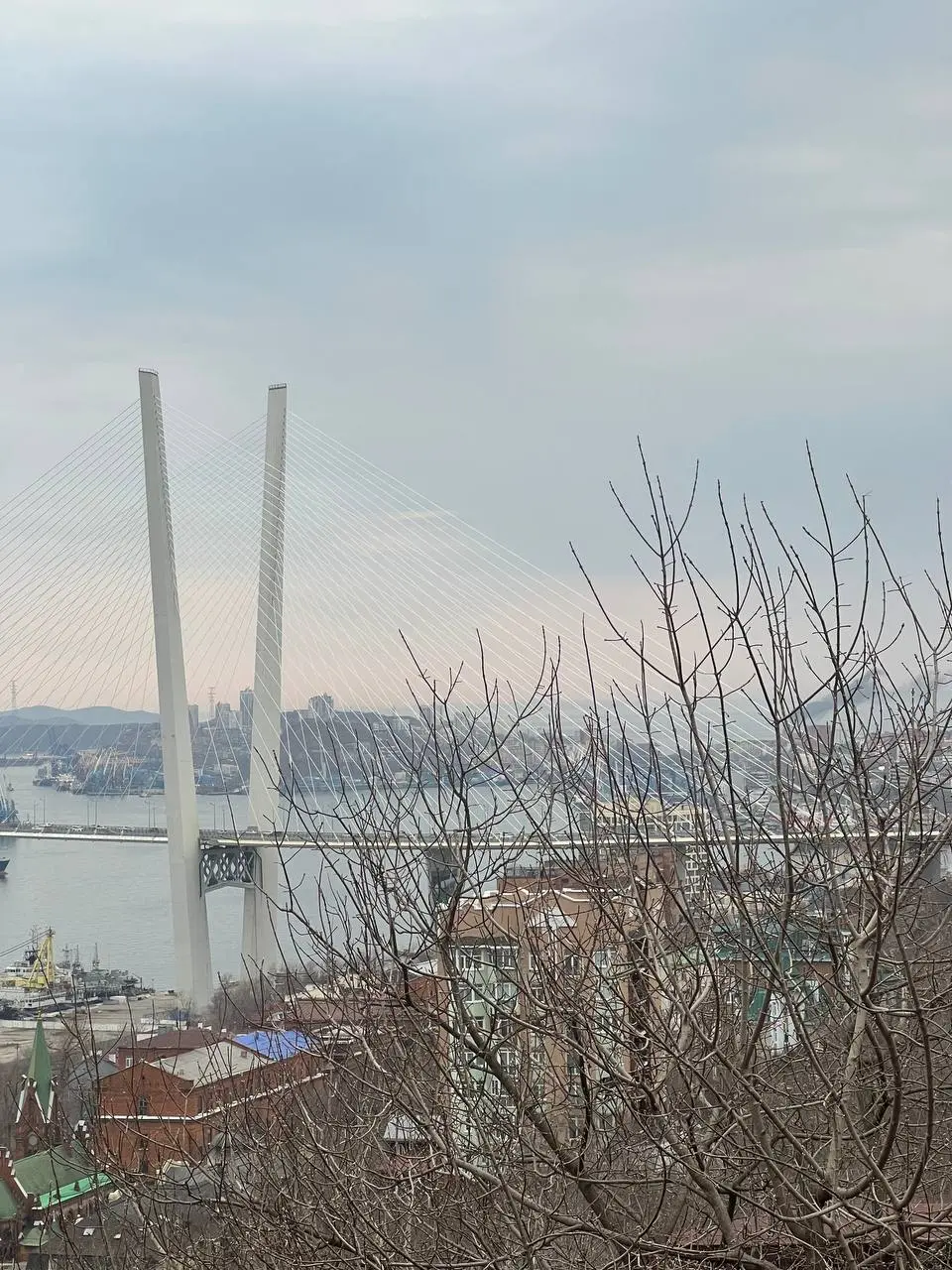 впечатления от Владивостока + что посмотреть
не ожидала от города абсолютно ничего, но ощущения после себя он оставил приятные
🌃 что важно знать


все здания супер разные | Сетка — социальная сеть от hh.ru