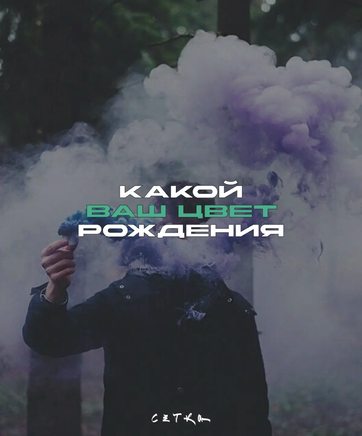 Сетка - узнаем Ваш цвет рождения? | Сетка — социальная сеть от hh.ru