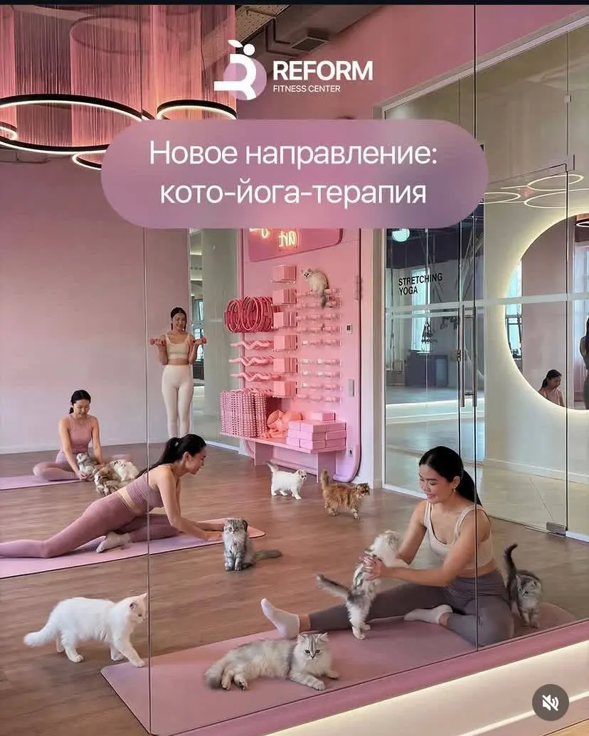 Их уже ничем не удивить... | Сетка — социальная сеть от hh.ru