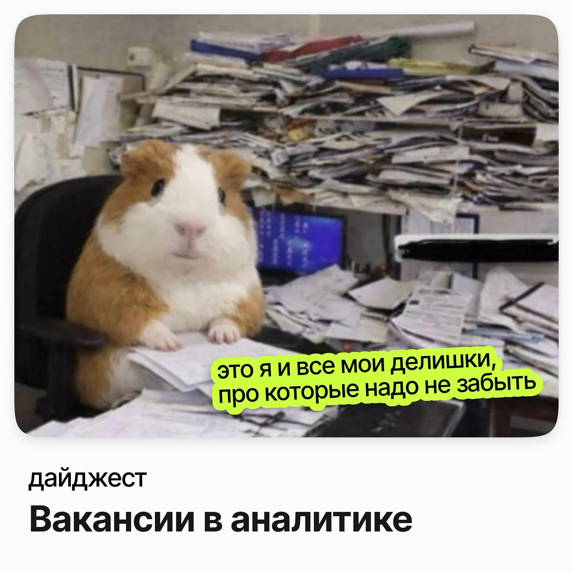 Вакансии в аналитике | Сетка — социальная сеть от hh.ru