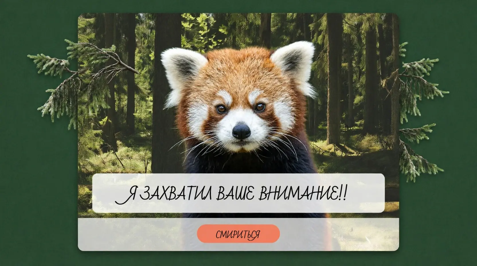 Не мешать, а направлять: Психология всплывающих интерфейсов | Сетка — социальная сеть от hh.ru