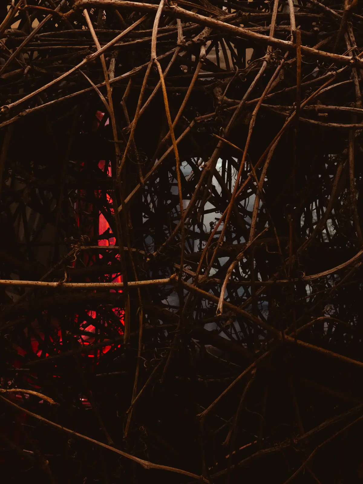 My red saintp | Сетка — социальная сеть от hh.ru