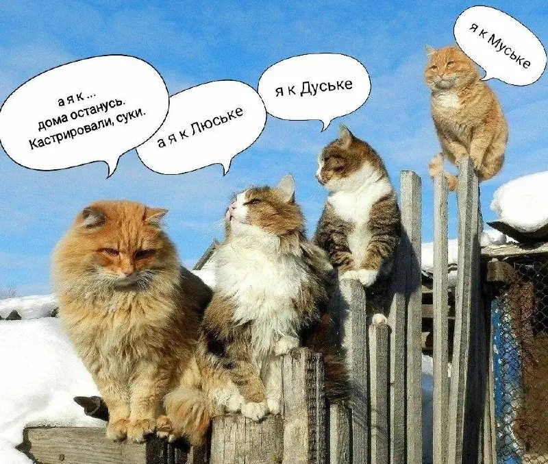 На дворе весна. Время любви, даже бабочки летают парами.
И конечно все весной вдруг так её хотят…но вот её ли и правда хочется? Тут кроется один интересный нюанс | Сетка — социальная сеть от hh.ru