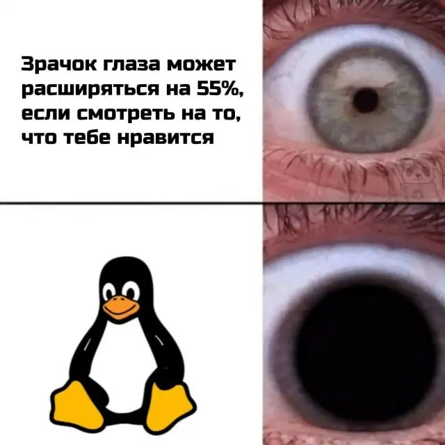 Подпишись, если твоя спина тоже вышла из чата 🌚 | Сетка — социальная сеть от hh.ru