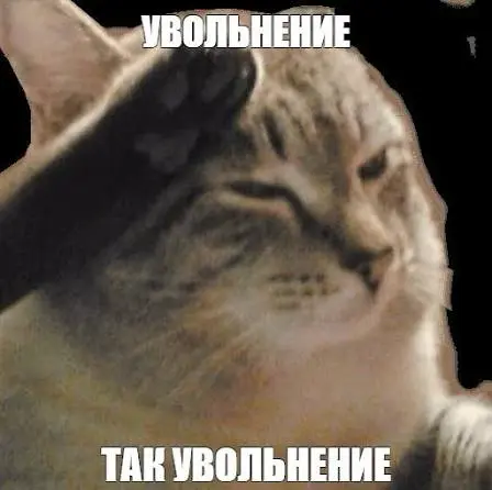 Страх потерять работу в текущей повестке - это не слабость.. | Сетка — социальная сеть от hh.ru