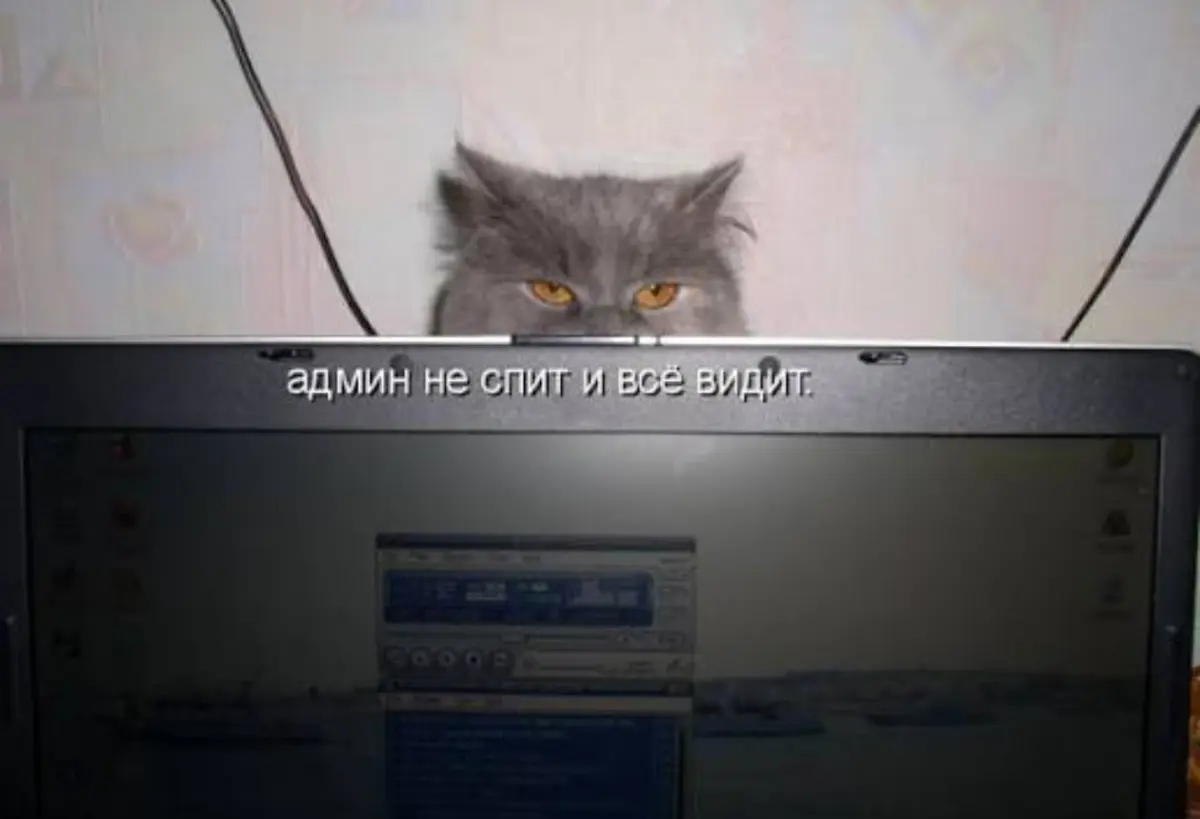 Если вам кажется, что ваша работа — это полная дичь | Сетка — социальная сеть от hh.ru