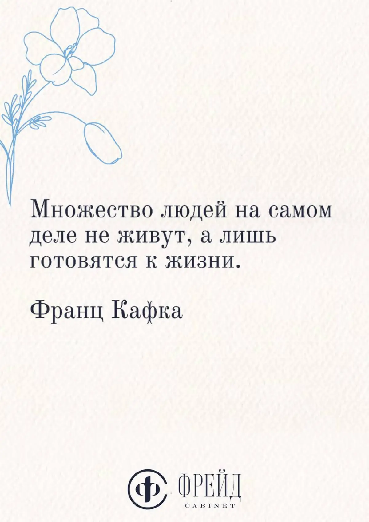 Цитата дня | Сетка — социальная сеть от hh.ru