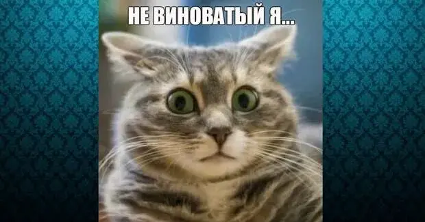 Во всем виноват HR | Сетка — социальная сеть от hh.ru