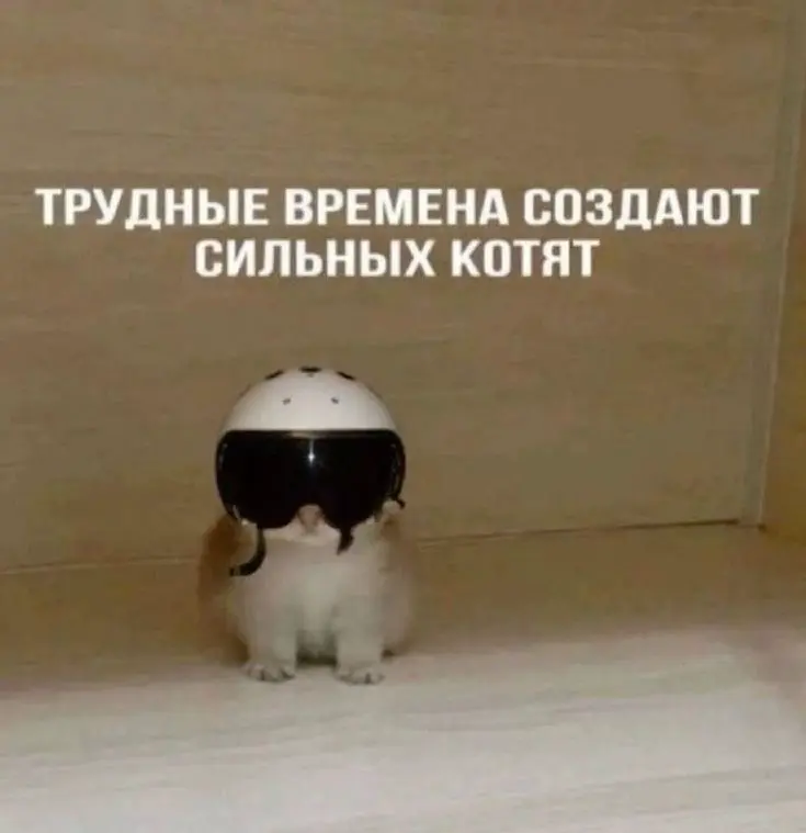 Если устали искать работу - это для вас | Сетка — социальная сеть от hh.ru
