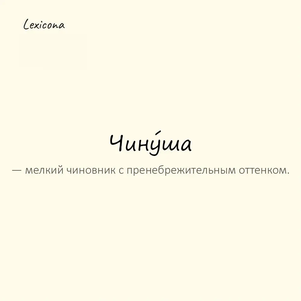 Чину́ша — мелкий чиновник с пренебрежительным оттенком.
Пример употребления:
Очередной чинуша затянул процесс. | Сетка — социальная сеть от hh.ru