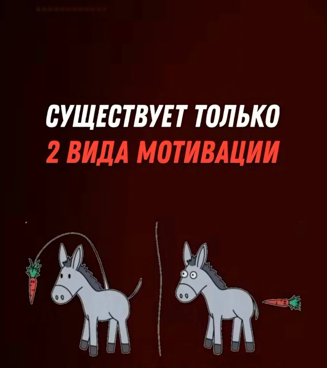 KPI убивает сильных. И вот почему | Сетка — социальная сеть от hh.ru