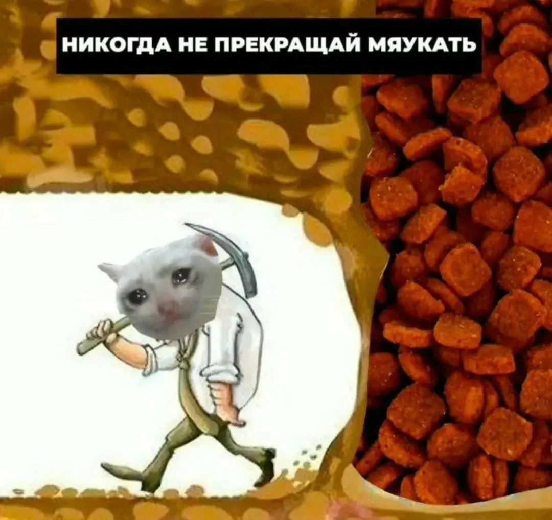 Ладно, не прекращаю мяукать. Напишу на почту, почему отказ, потому что релевантный проект есть | Сетка — социальная сеть от hh.ru
