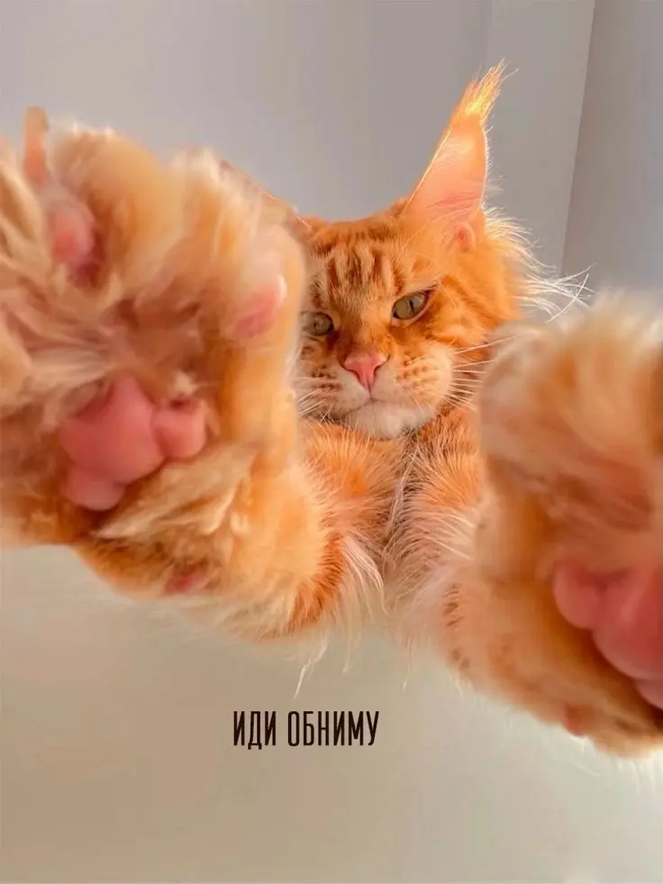 Иди обниму! Job hugging какие последствия ? | Сетка — социальная сеть от hh.ru