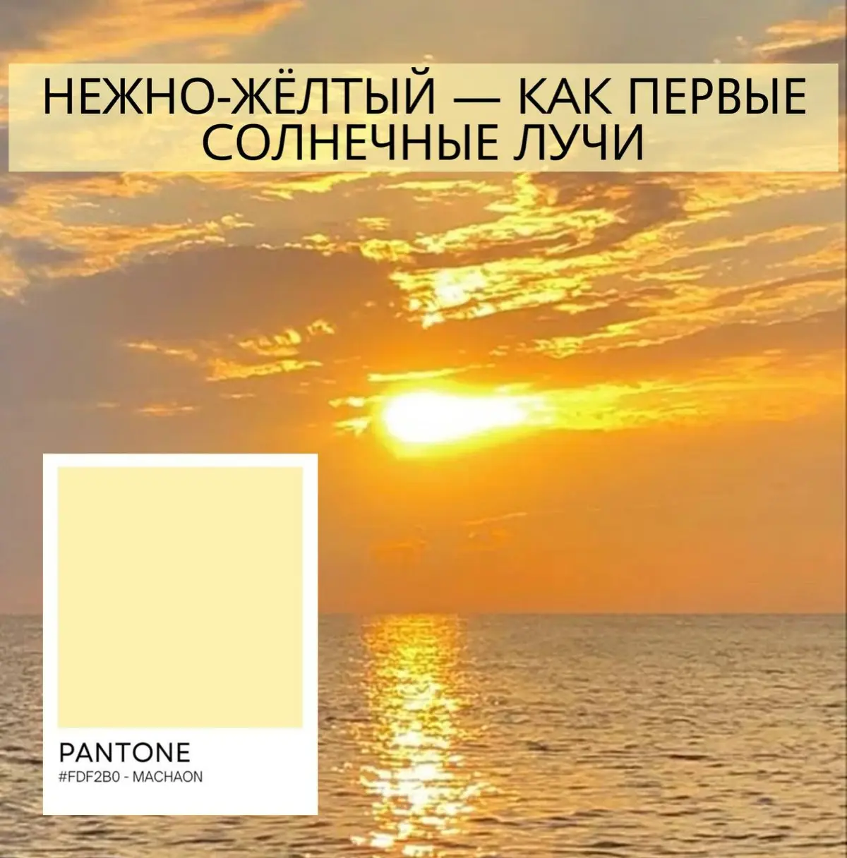 🌸Весна вдохновляет на обновление🌸 | Сетка — социальная сеть от hh.ru