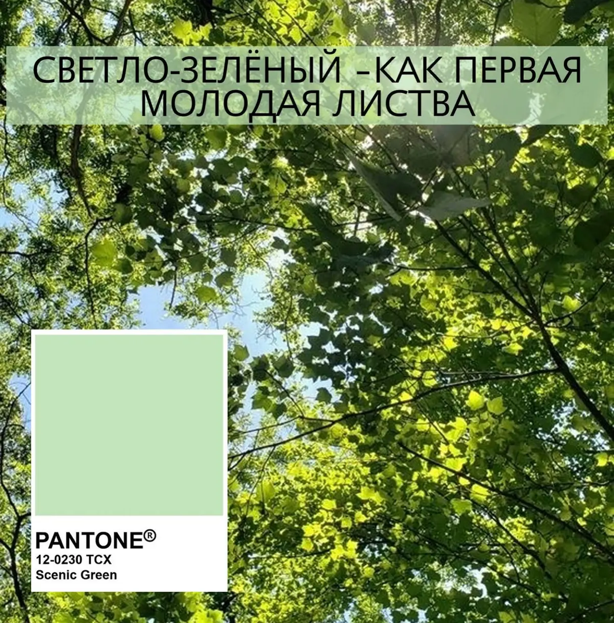 🌸Весна вдохновляет на обновление🌸 | Сетка — социальная сеть от hh.ru