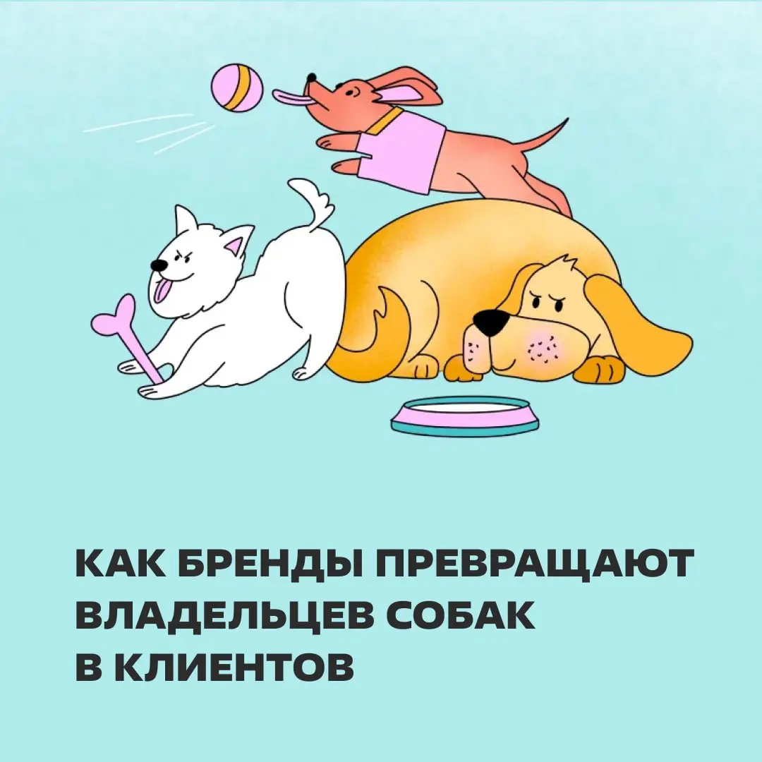 Весь мир: у нас кризис, денег нет.
Бренды для питомцев: 💸
В статье: как развивается рынок товаров и сервисов для животных, и почему собачники привлекают внимание крупных брендов. | Сетка — социальная сеть от hh.ru