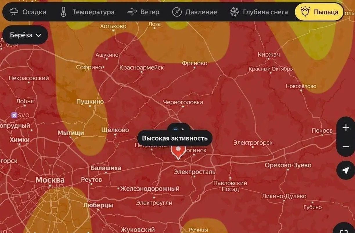 В Москве начался пик цветения берёзы.
В столице активно цветёт берёза, и для людей с аллергией наступил самый тяжёлый период | Сетка — социальная сеть от hh.ru