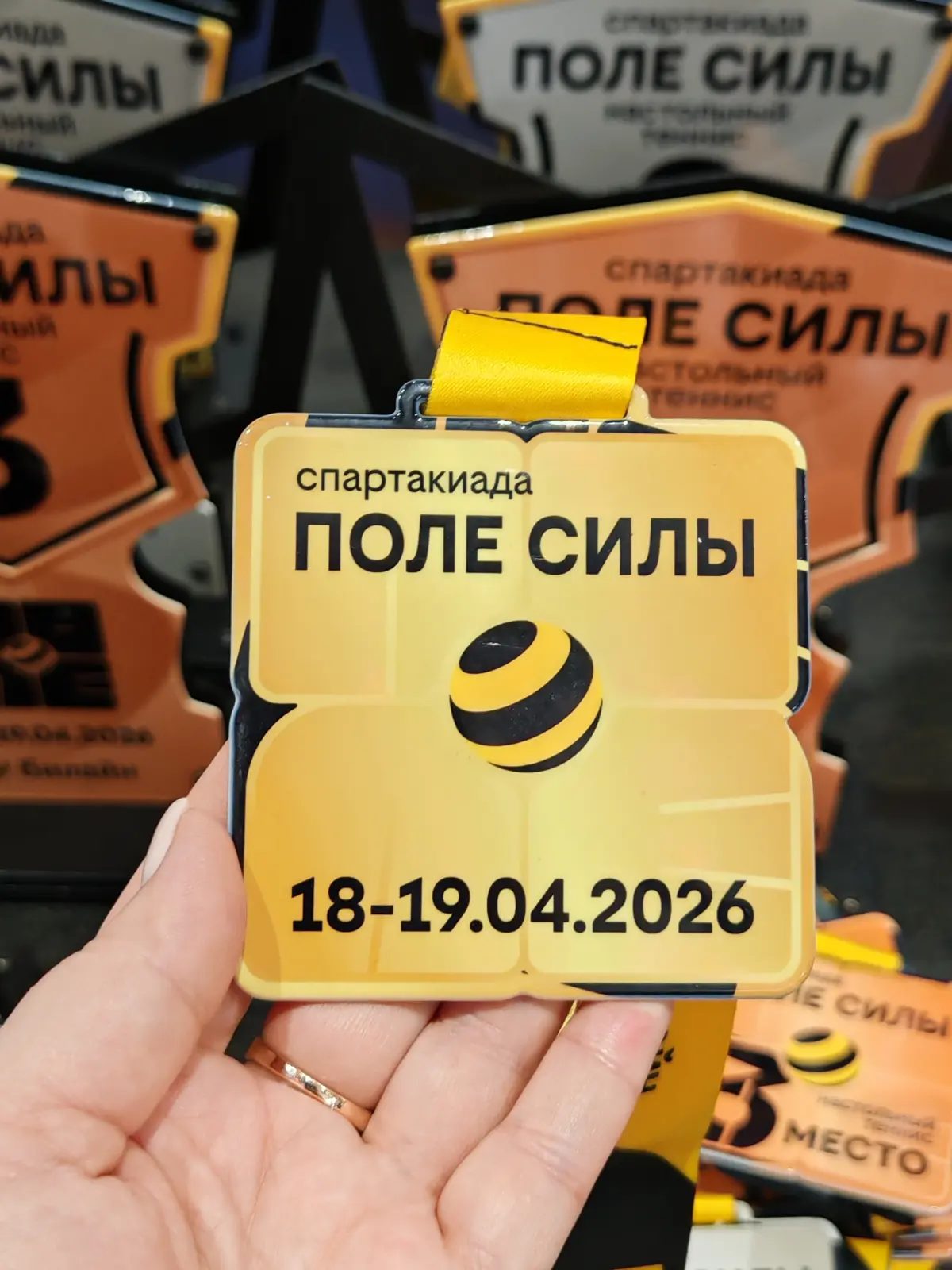 Прошла наша регулярная Спартакиада Поле Силы. Болела за наш Московский регион, с сыном посоревновались в дартс, зарядились энергией азарта и побед) | Сетка — социальная сеть от hh.ru