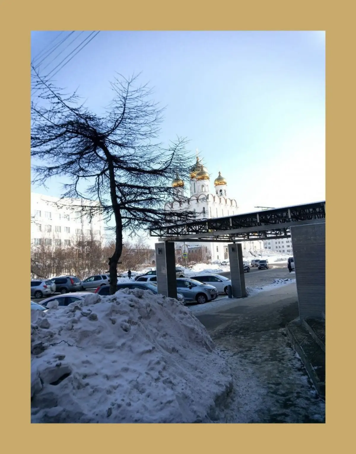 Ищи / Find | Сетка — социальная сеть от hh.ru