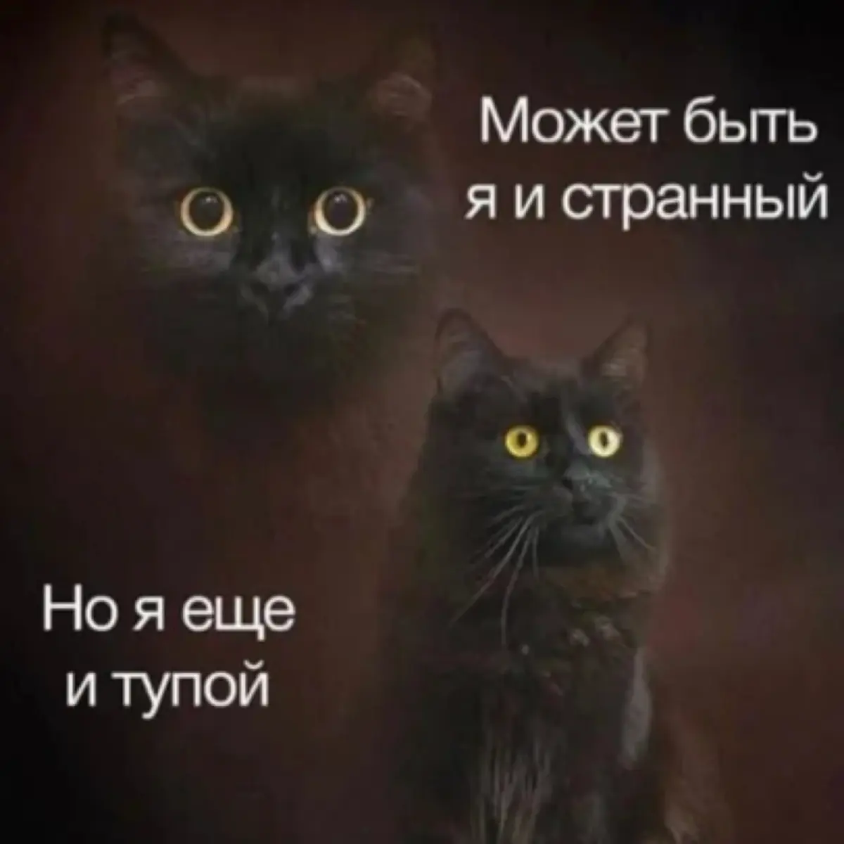 ⚙️🍏📲 | Сетка — социальная сеть от hh.ru