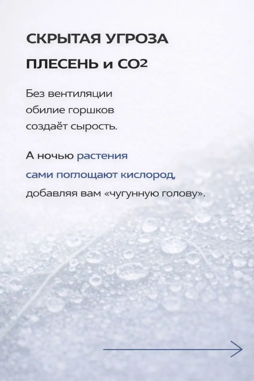 Чем мы дышим на самом деле?
​Красивый фикус в углу — это 100% к уюту, но 0% к свежести | Сетка — социальная сеть от hh.ru