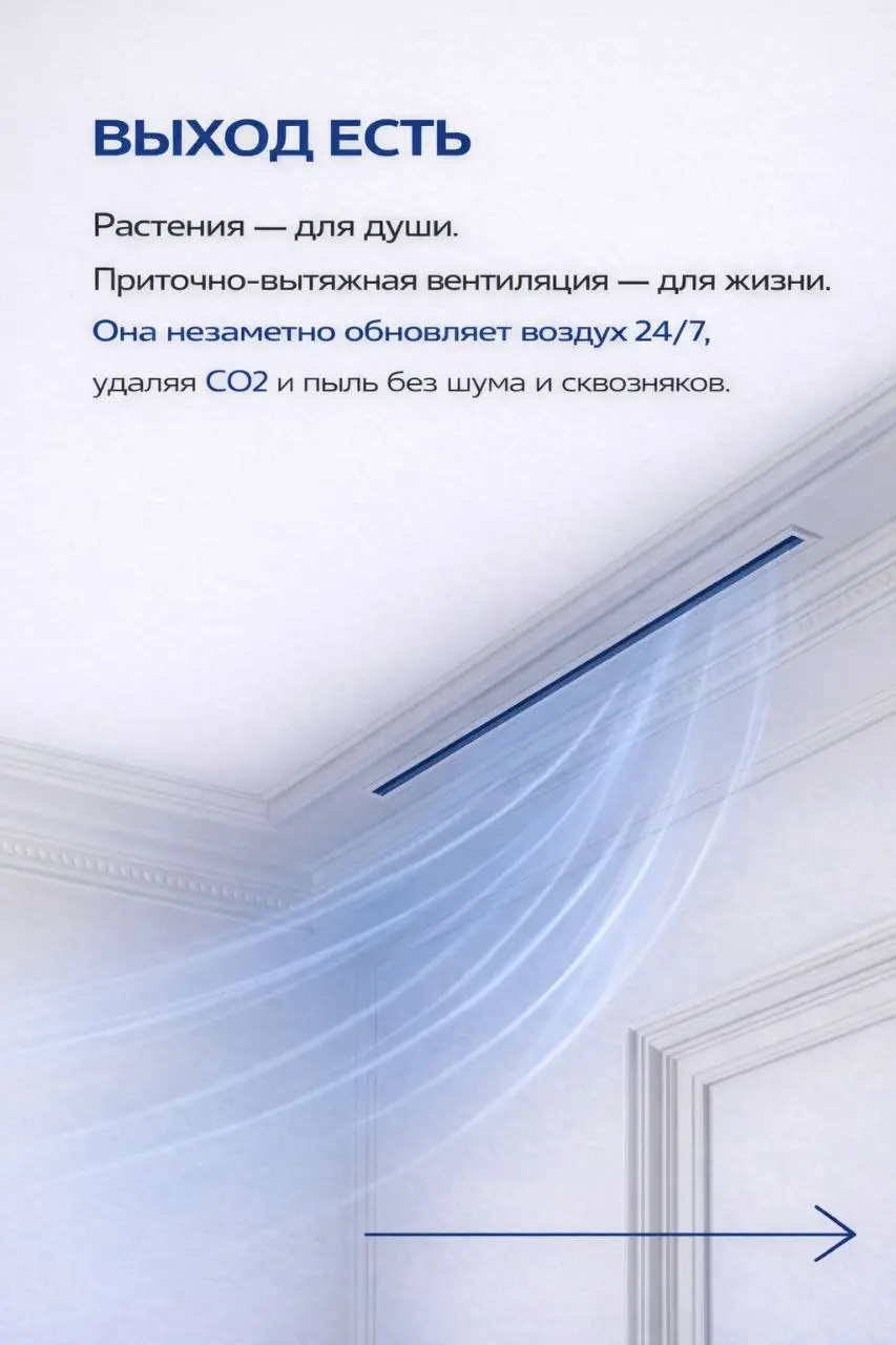 Чем мы дышим на самом деле?
​Красивый фикус в углу — это 100% к уюту, но 0% к свежести | Сетка — социальная сеть от hh.ru