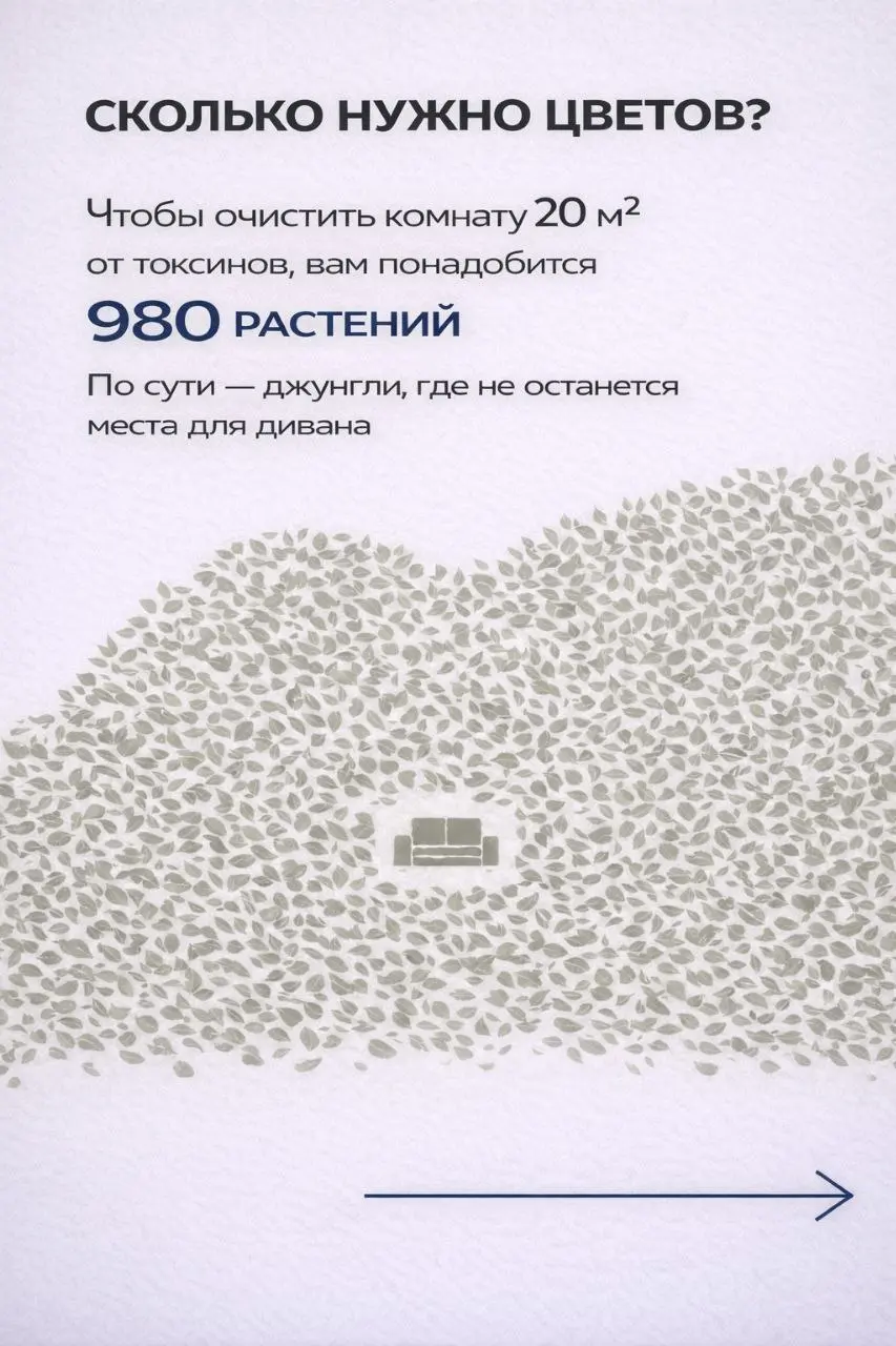 Чем мы дышим на самом деле?
​Красивый фикус в углу — это 100% к уюту, но 0% к свежести | Сетка — социальная сеть от hh.ru