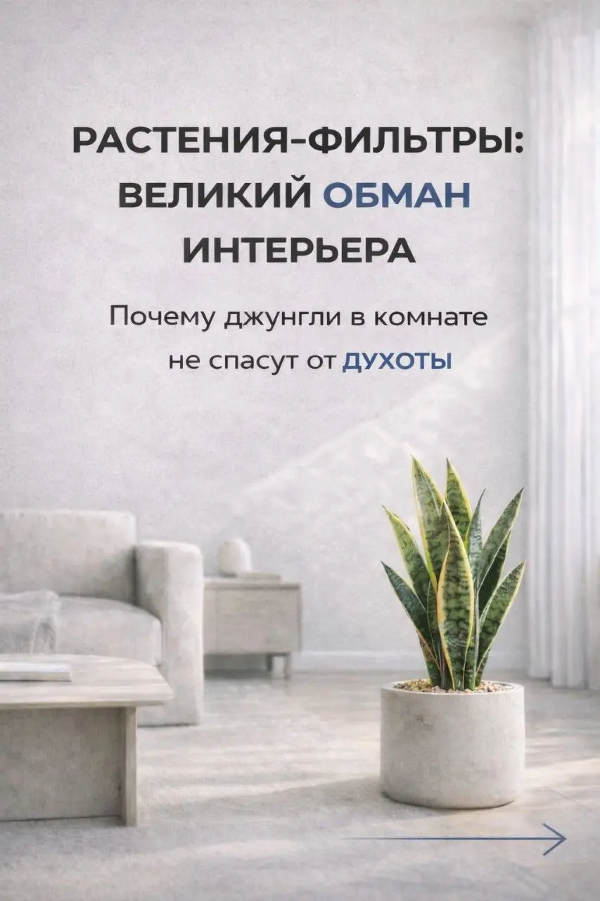 Чем мы дышим на самом деле?
​Красивый фикус в углу — это 100% к уюту, но 0% к свежести | Сетка — социальная сеть от hh.ru