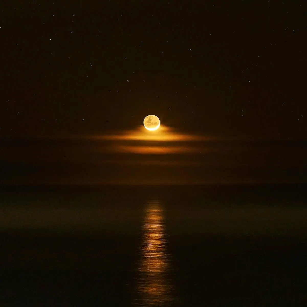 Рустем Вахитов